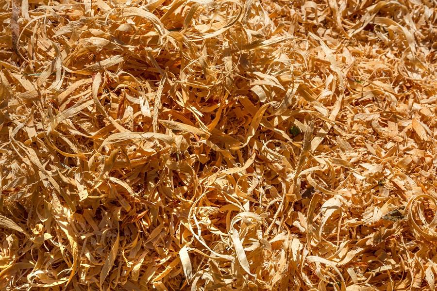 Stump grinding service in Marietta GA - wood chips from a ground tree stump
