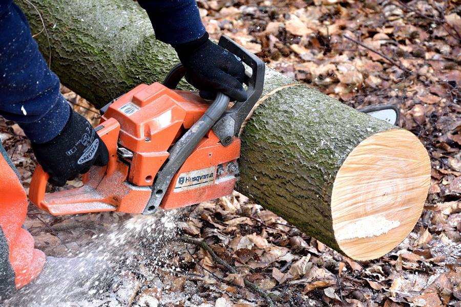 Tree removal in Marietta GA - worker cutting a tree with a chainsaw